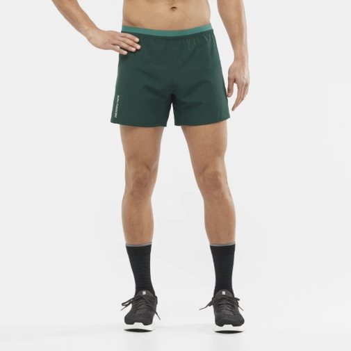 Green Salomon Cross 5'' Men's Shorts | IE TU6715